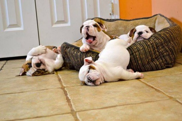 brothers and sisters