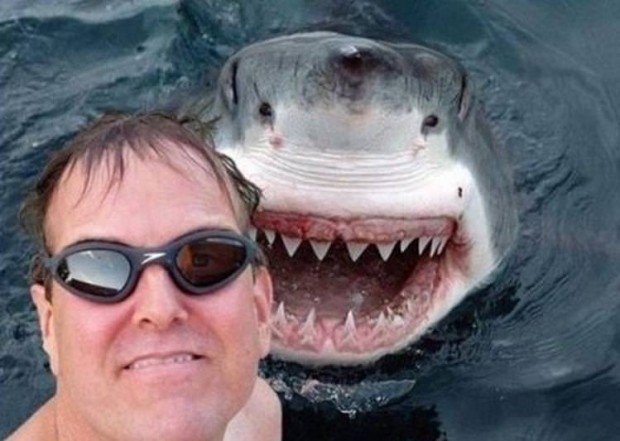 Shark selfie