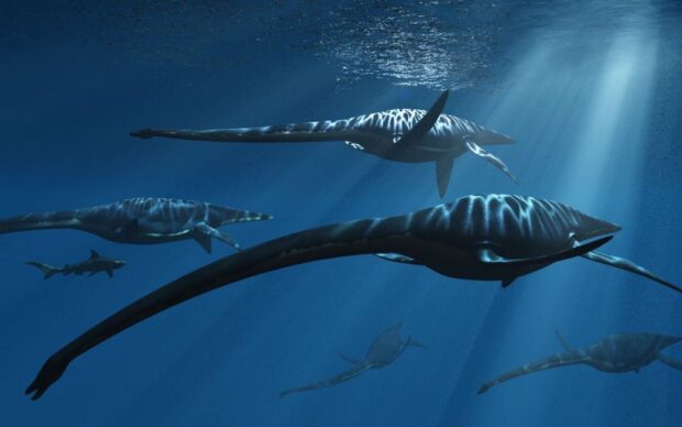 Elasmosaurus Prehistoric marine reptiles