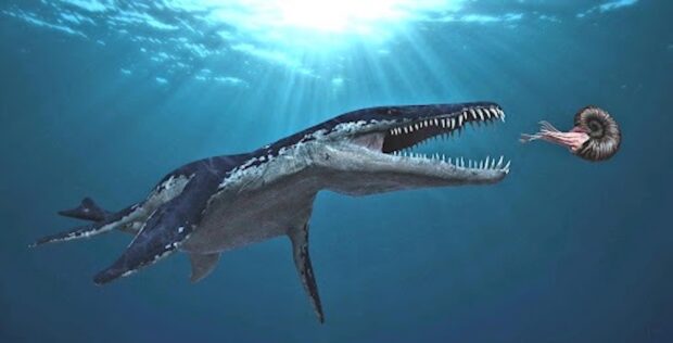 Prehistoric marine reptiles - liopleurodon